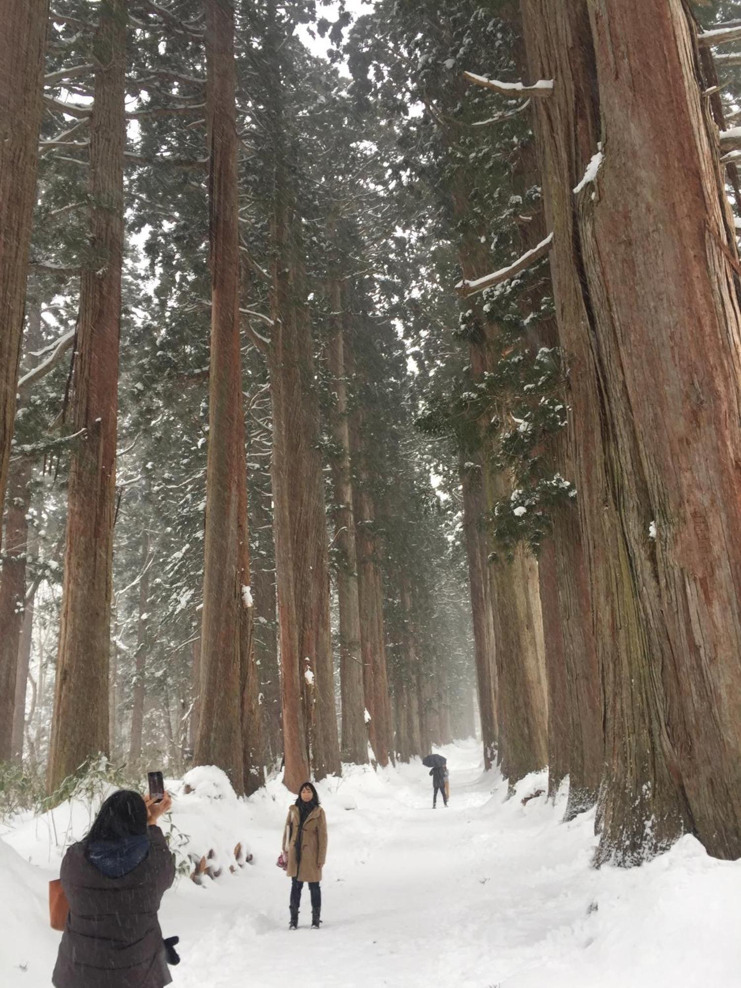 Nojiri Lake Resort Shinano  Bagian luar foto